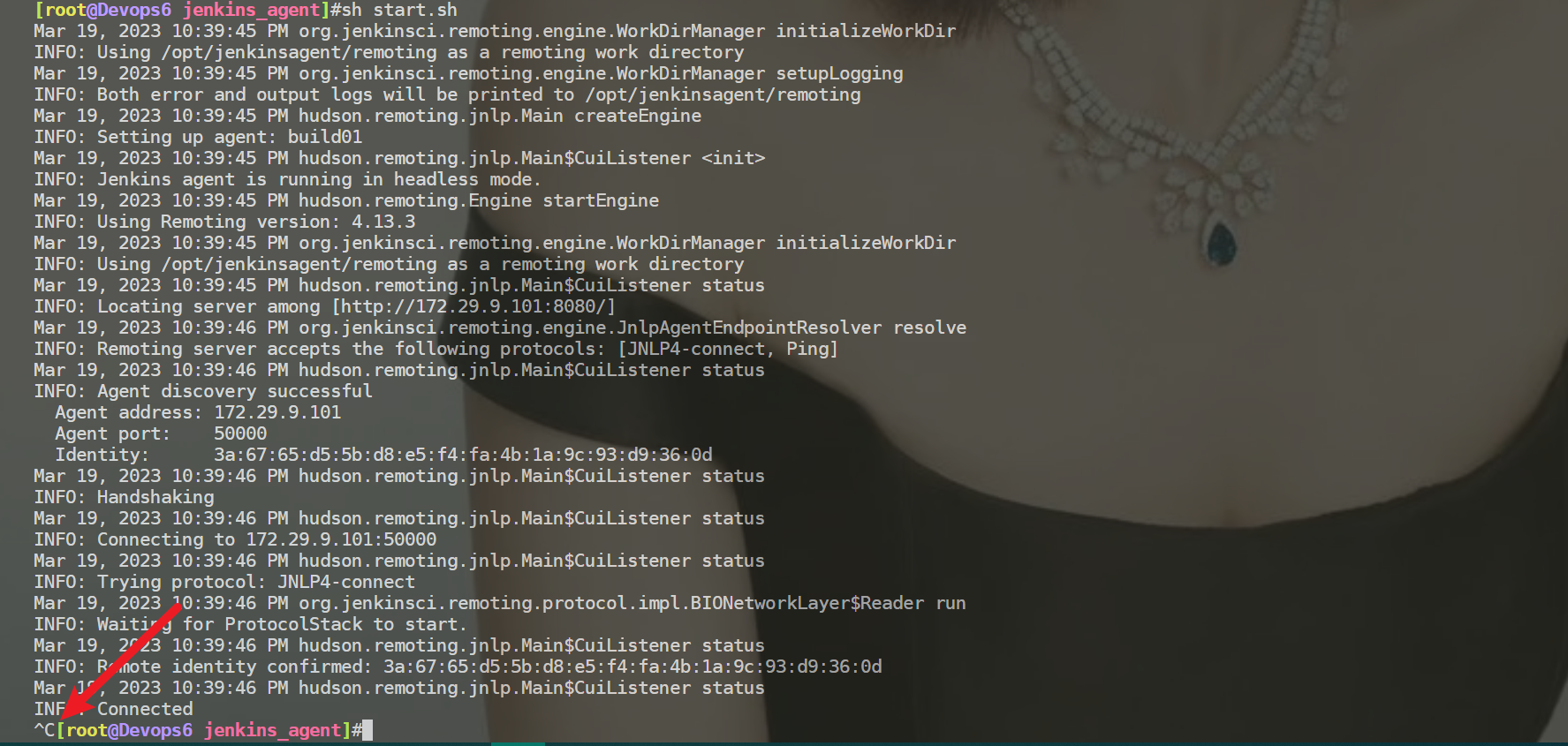 image-20230319224115043