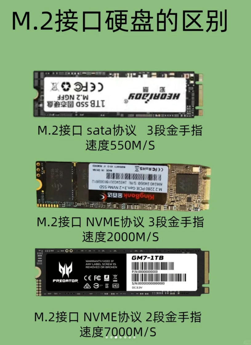 image-20241129181944747