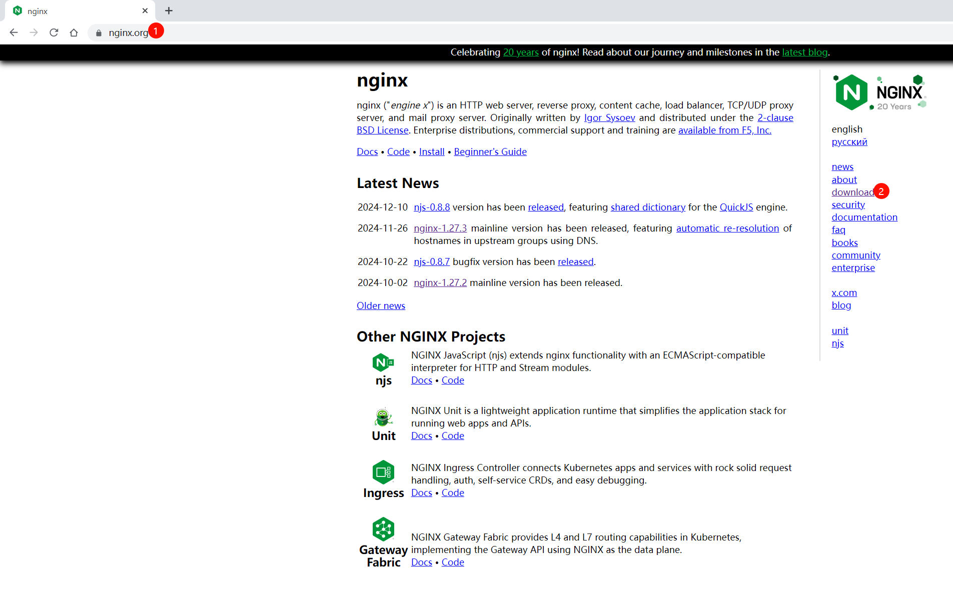 image-20241220072710602
