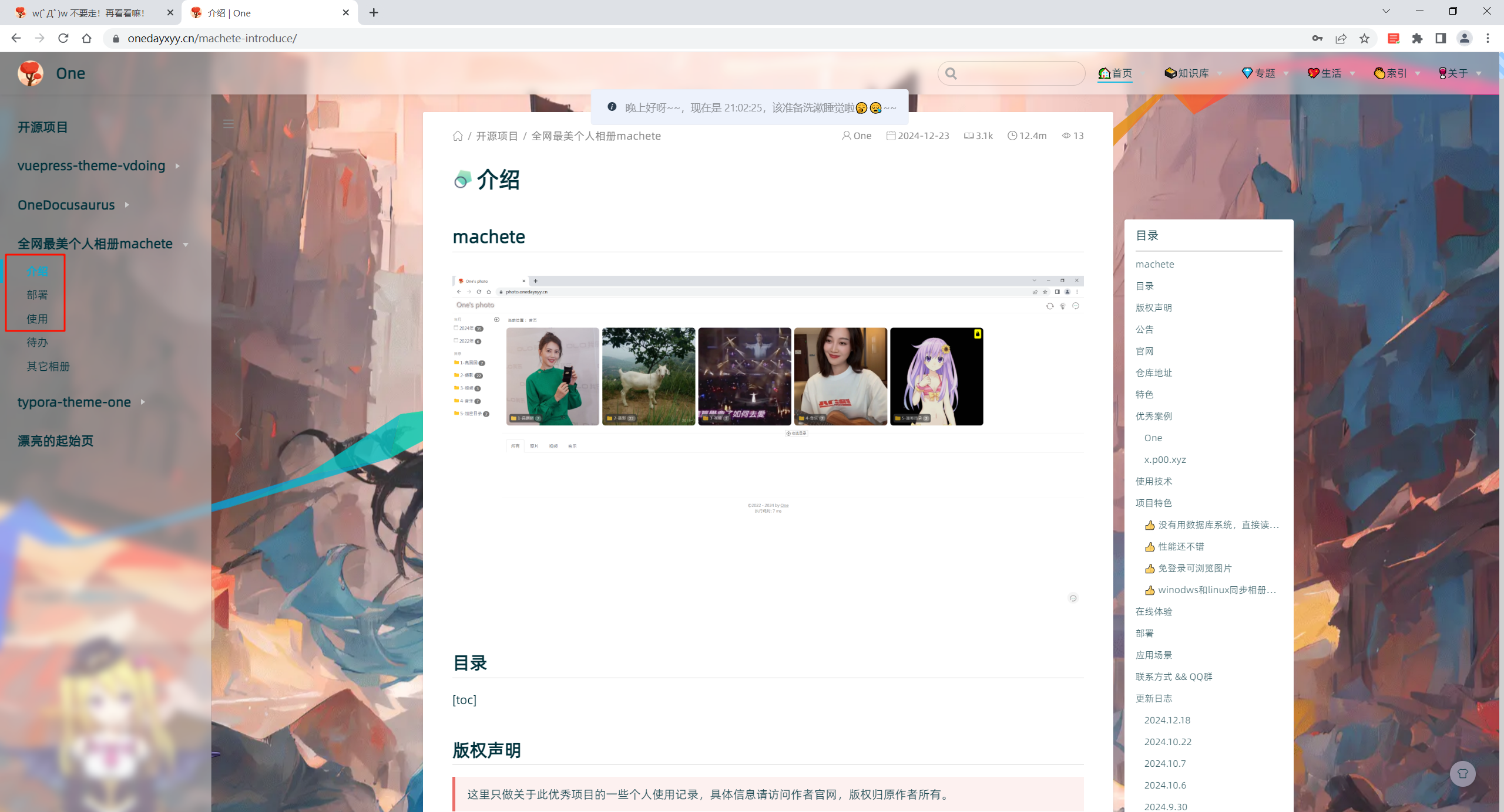 image-20250113210239813