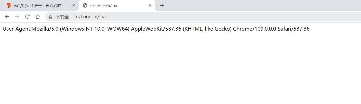 image-20250118081822719